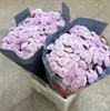 SANTINI ELLISON SWEET LJUSROSA